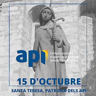 Santa Teresa de Jesús, Patrona de los API