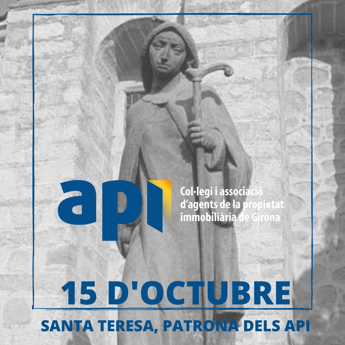 Santa Teresa de Jesús, Patrona de los API