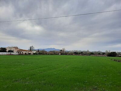 Girona organitza la xerrada &quot;L'habitatge assequible, el gran repte pendent de Girona&quot;