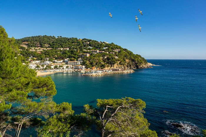 El nivell d’ocupació dels habitatges turístics de la Costa Brava cau al 87%